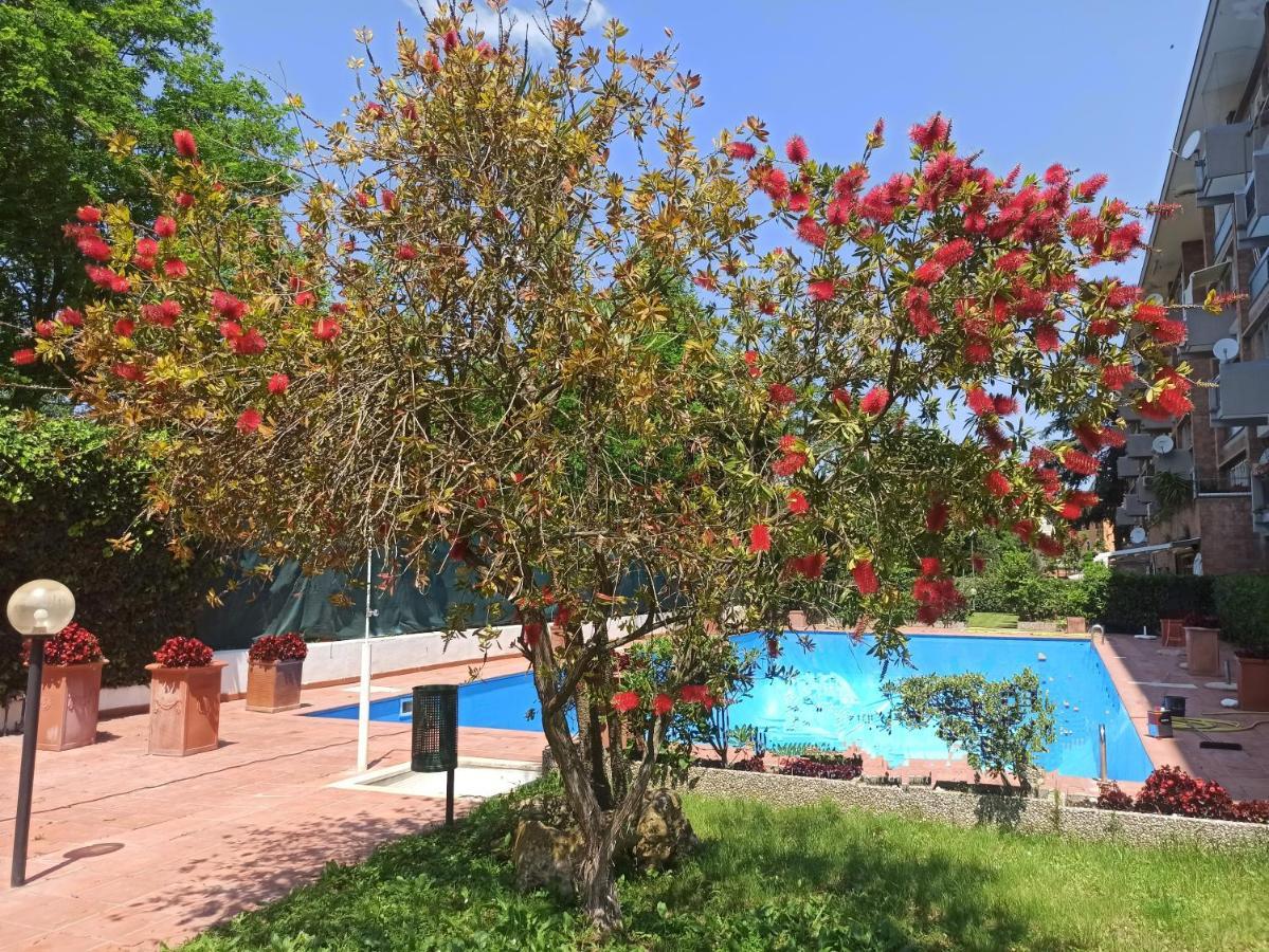 Aurelia Antica Terrace Free Pool And Parking Lägenhet